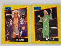 2pc 1991 WCW Ric Flair
