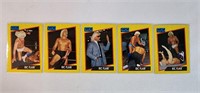 5pc WCW Ric Flair Collection
