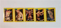 5pc WCW Lex Luger Collection