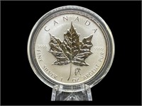 2004 Aquarius Privy Mark Silver Maple Coin