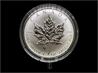 2007 Fabulous Collection F12 Privy Silver Maple