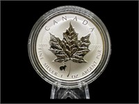 1999 Rabbit Privy Mark Canadian Maple Coin