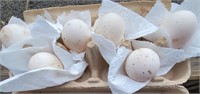 6 Welsh Harlequin Eggs