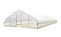 TMG 25'X80' Tunnel Greenhouse Tent