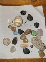 Rocks, Shells and Gems