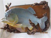 Mancave Fish Taxidermy Mounted Red Bellied Piranha