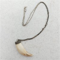 Authentic Tiger Tooth Pendant & Silver Chain