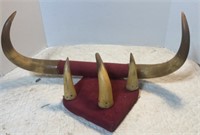 Vintage Horns Hat / Clothes Rack