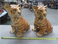 Pair of Tiger Cubs