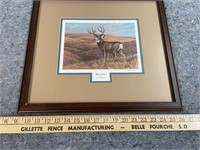 "Mule Deer" by John Wilson Print
