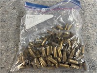Empty Brass--Almost All .44 Rem Mag
