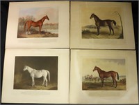4 Pcs Equine Numbered Litho Prints