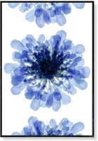 Indigo Blue X-ray Abstract Flower Canvas, 24x36"