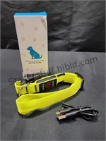 Large Lighted Safety Collar