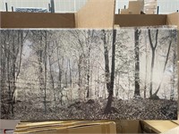 20x40 Dark Forest Canvas print