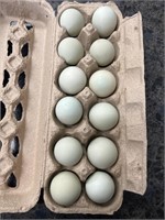 1 doz fertile Araucana bantam eggs