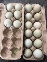 18 fertile Araucana chicken eggs