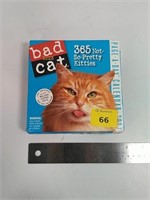 Bad cat 2023