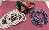 Selec Of Leads Lines, Lunge Line & Horn Wrap