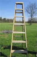Ladder and Weedeater