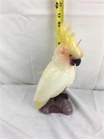 Cockatiel Candle