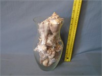 Vase w/ Sea Shells