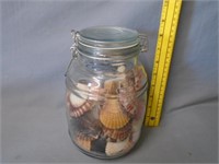 Jar w/ Sea Shells