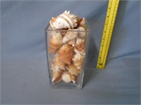 Glass Container w/ Sea Shells