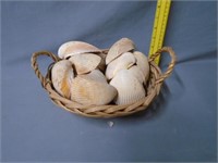 Basket of Sea Shells