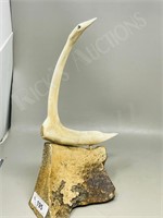 16" tall bone bird sculpture