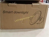 New 4 - pack Smart Downlight