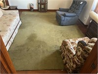 9x12 Large Green Area Rug