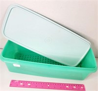 Long Green Tupperware Container