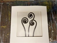 Fiddleheads. Enlarged art photo. Matted.