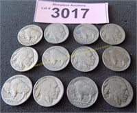 Twelve Buffalo nickels