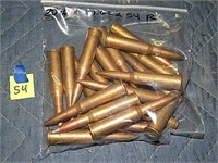 20ct 7.62x54R Rnds