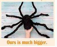 Spider Web Halloween Decoration Large Spider