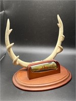 Deer Antler Stand with Pocket Knife