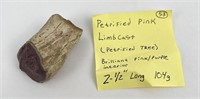 Pink Petrified Limbcast Wood