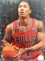 Bulls Derrick Rose signed photo