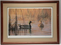 "Morning Mallards" Signed by Gary W. Moss