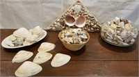 Nice lot of shells