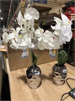 2 Pack- Artificial Orchid Plants