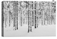 SIGNWIN Canvas Wall Art Winter Snow Covered Birch