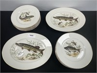 2 Fish Platters & 12 Dinner Plates