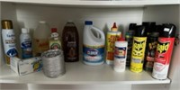 Contents of Shelf - Cleaning Products