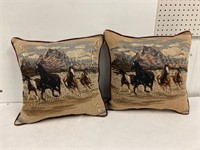 2 Western Cushions