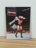 1998 WWF The Rock TitanSport Wrestling Card