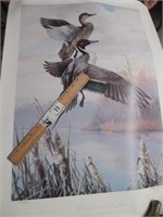 Signed & Numbered Ducks Unlimited Print in a Tube