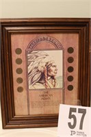 Framed Indian Head Cent Collection